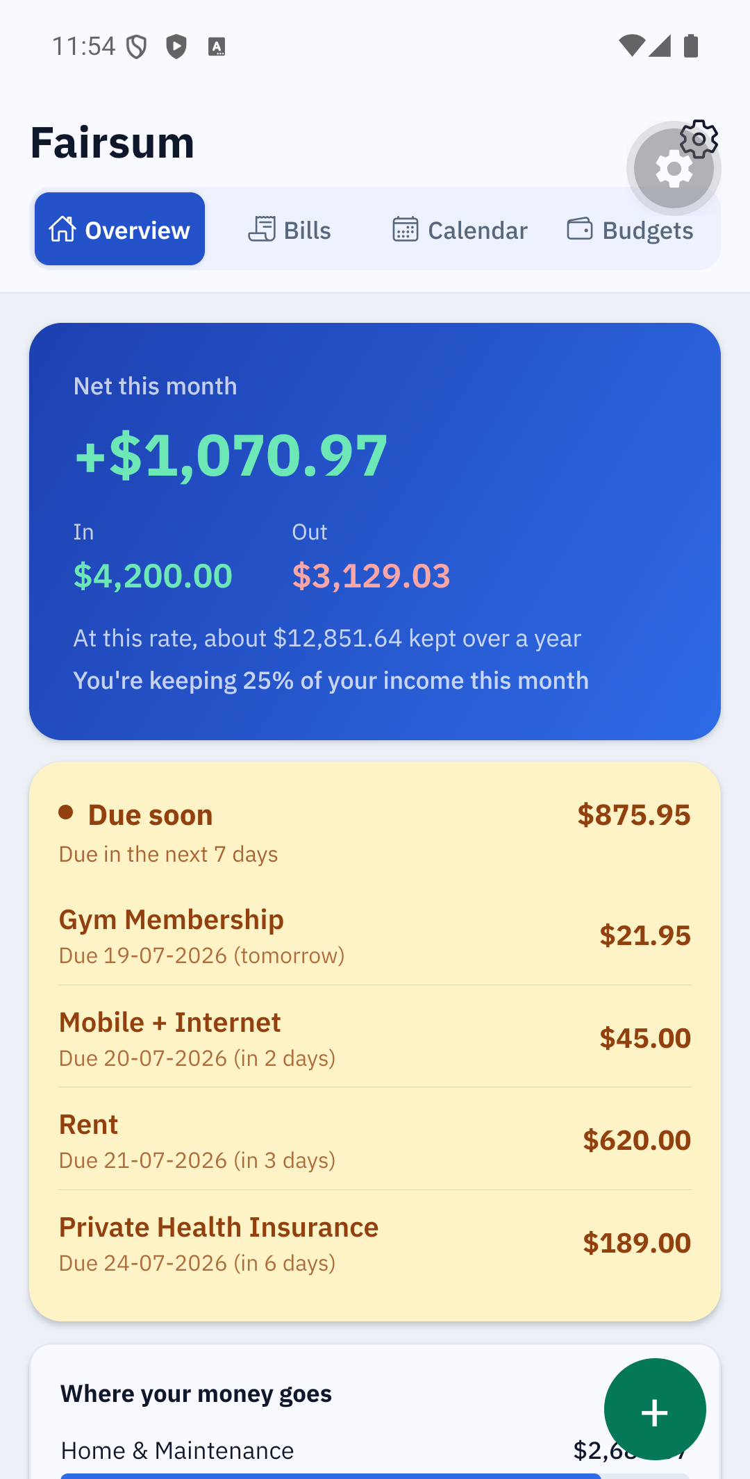 Overview screen — net this month, In and Out totals, and spending by category