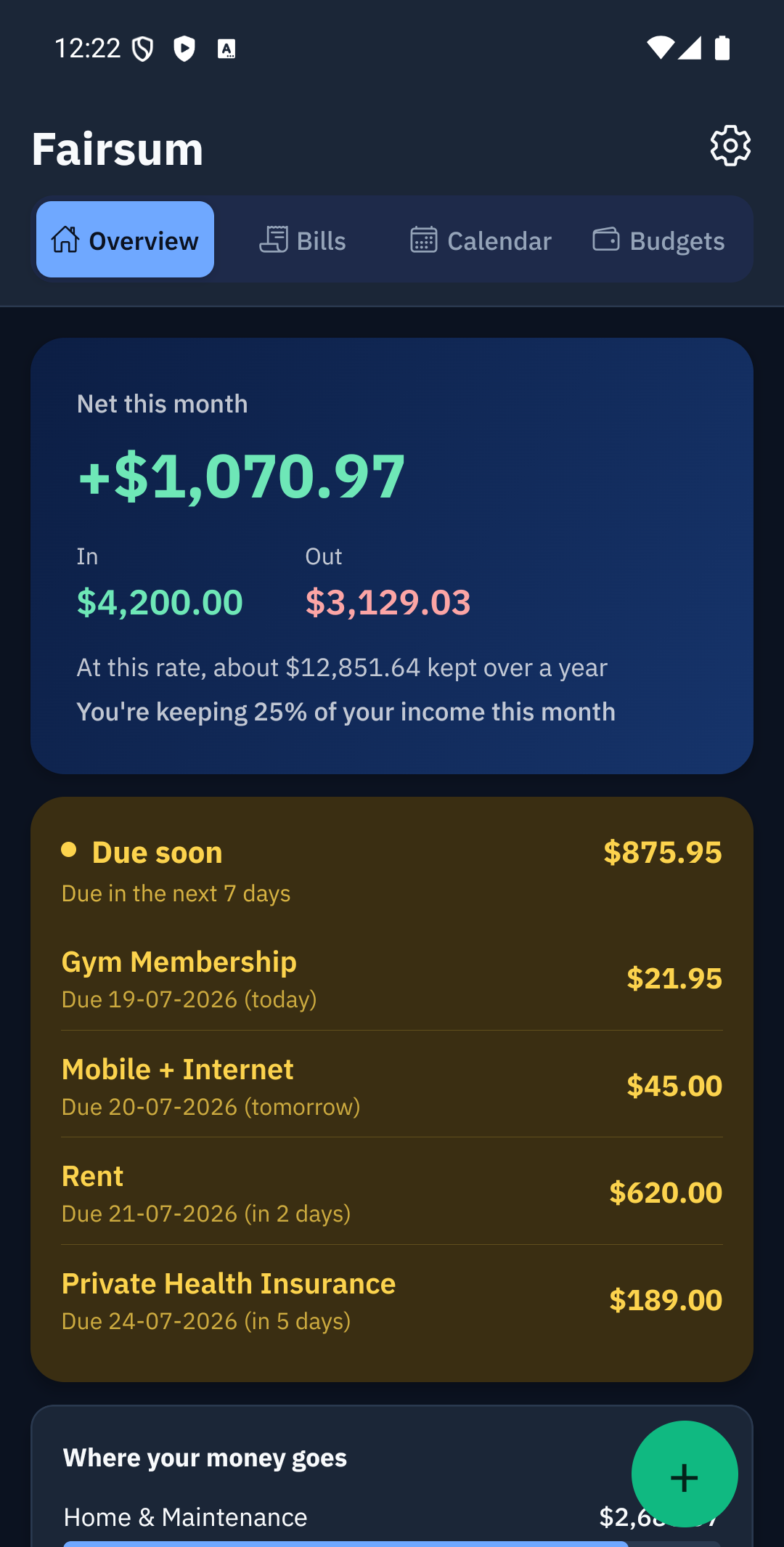Overview screen — net this month, In and Out totals, and spending by category